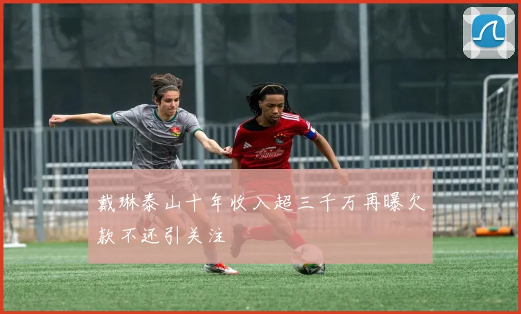 戴琳泰山十年收入超三千万再曝欠款不还引关注