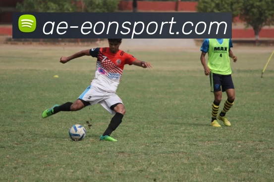 2025年篮球数据盛宴SGA与约基奇引领风潮库里三分王戴森成抢断之王