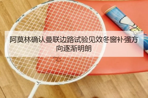 阿莫林确认曼联边路试验见效冬窗补强方向逐渐明朗 | eonsports